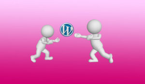 Trouver et installer un thème WordPress