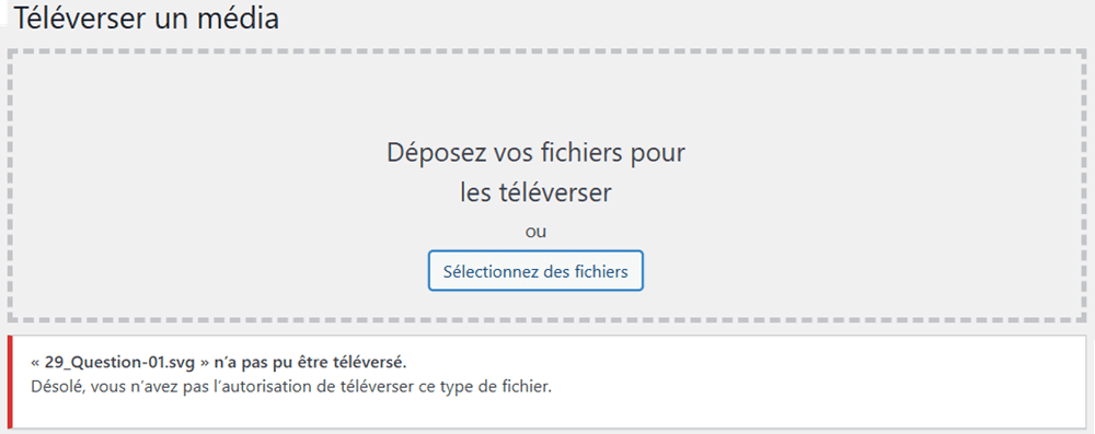 Message d'erreur lors du téléchargement d'un fichier SBG dans les médias de WordPress.