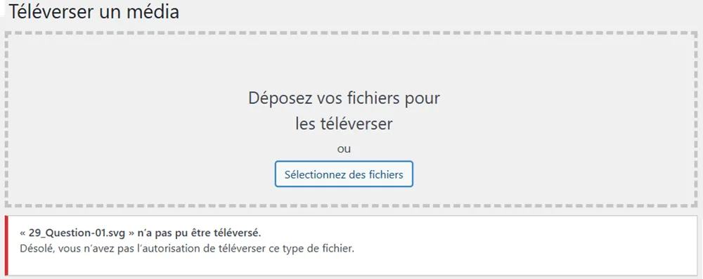 Message d'erreur lors du téléchargement d'un fichier SBG dans les médias de WordPress.