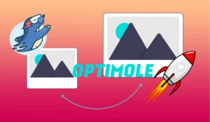 Optimole optimisation tout en un des images