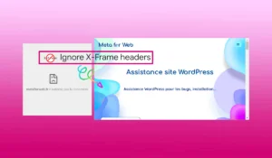 désactiver l'en-tête de sécurité X-Frame-Options pour utiliser des outils de test responsive