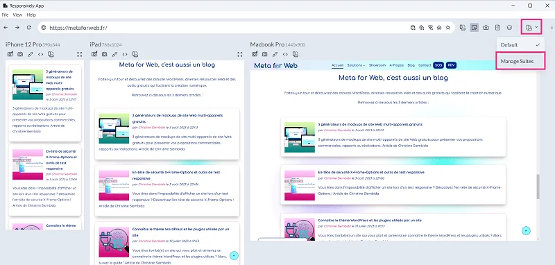 responsively app vue par défaut du test responsive en local