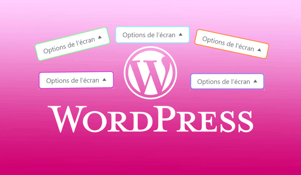 Menu caché WordPress : Options de l'écran