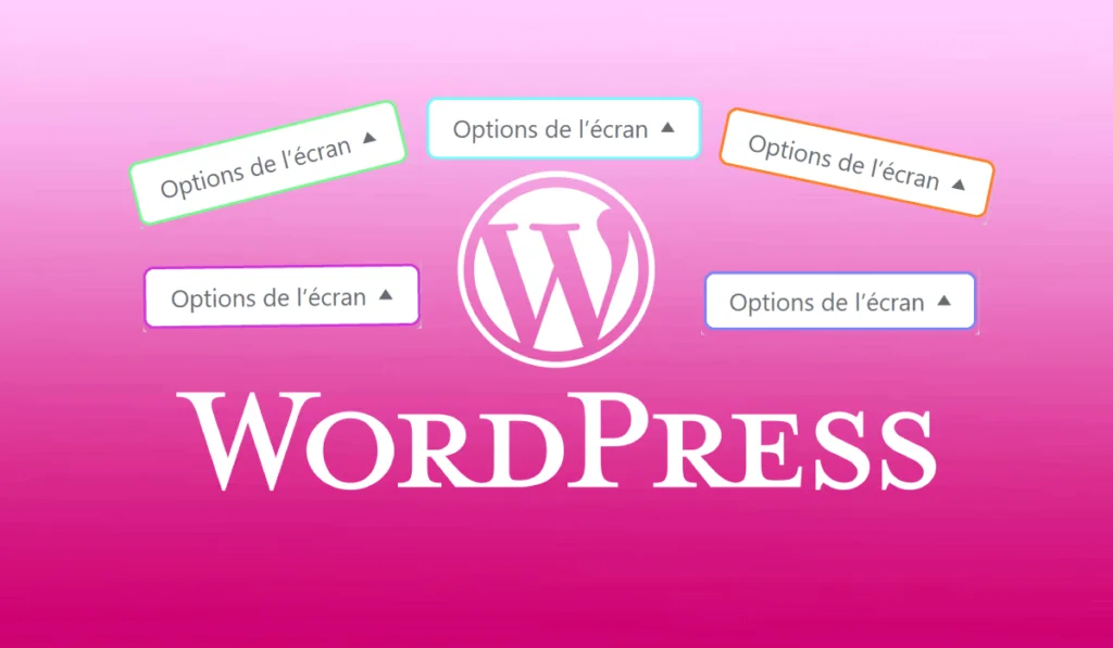 Menu caché WordPress : Options de l'écran