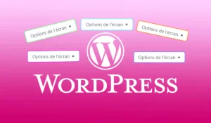 Menu caché WordPress : Options de l'écran