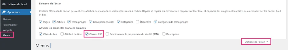 Faire apparaitre les classes CSS via les options de l'écran des menus WordPress