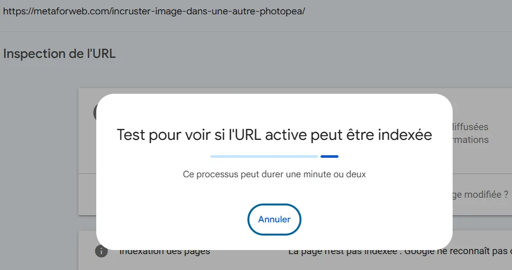 Google Search Console test possibilité indexation de l'URL