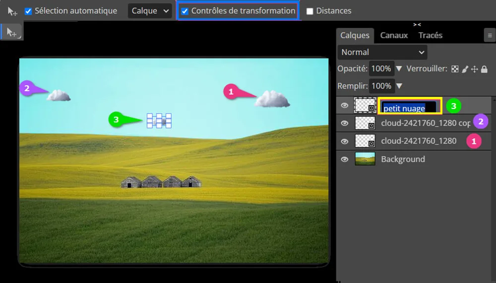 Duplication de calques d'image et renommage avec Photopea Duplication de calques d'image et renommage avec Photopea