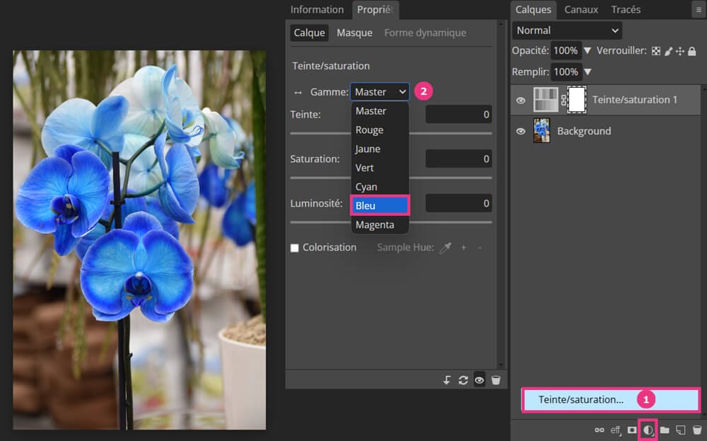 Modifier la couleur d'un objet avec Photopea